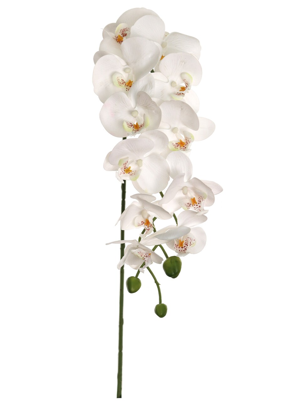 43” Phalaenopsis Orchid with 12 Flowers – White (Set of 3) | Real Touch Artificial Orchids for Home & Office Décor